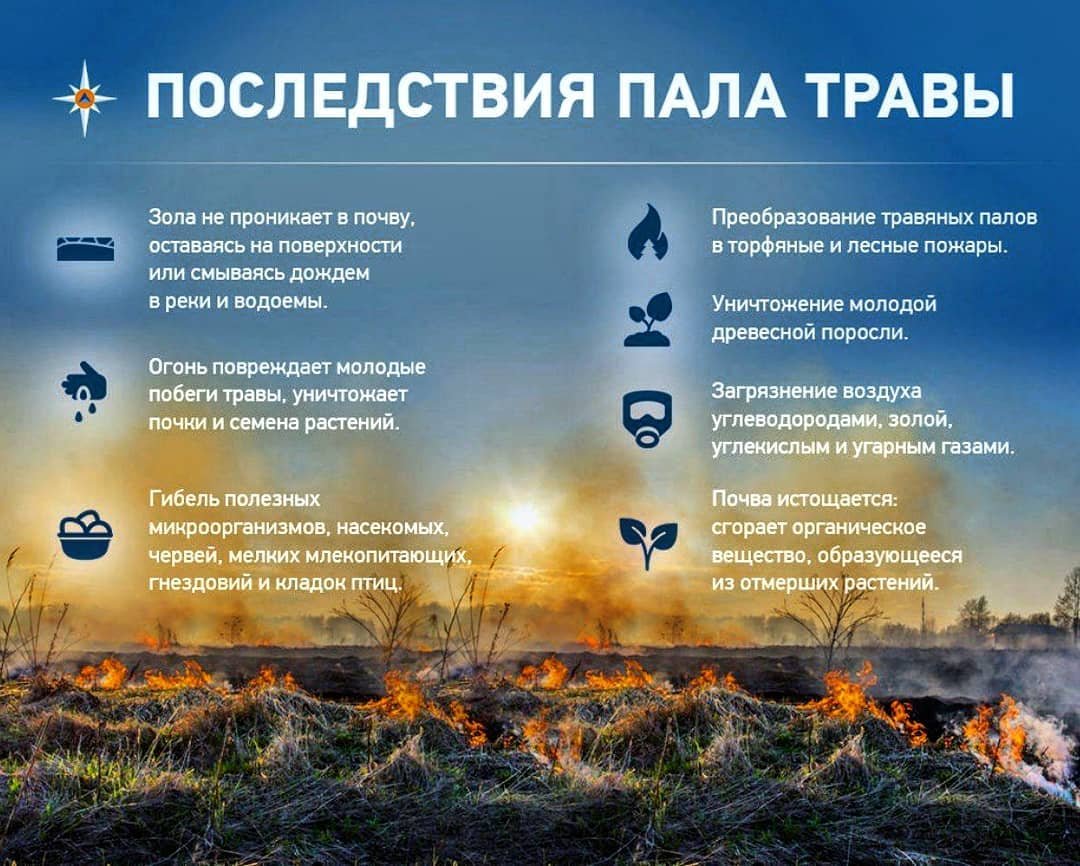 Пал травы 2